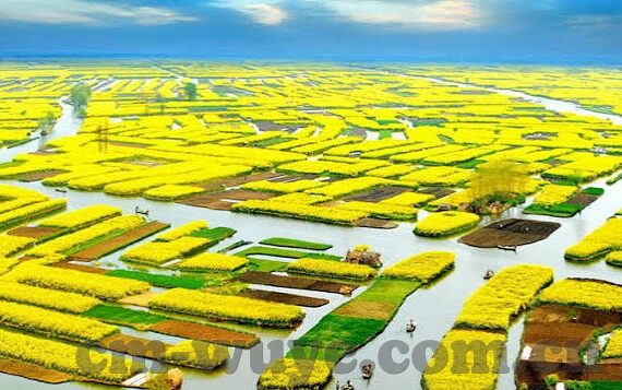 91制片厂制作果冻传媒168-91制片厂与果冻传媒168，创意与娱乐的交融