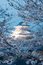 国产麻豆视频-探秘国产麻豆视频，文化与市场的双重考察