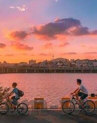 果冻传媒何苗作品链接-探索果冻传媒何苗的创意之旅，作品链接的独特魅力