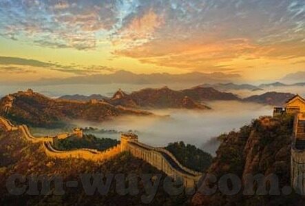 老师护士中文字幕在线-老师与护士，生命之舟的守护者