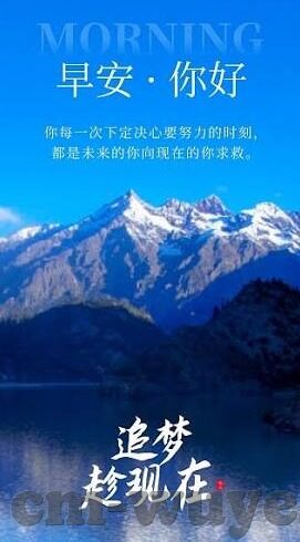 麻豆传媒app安全吗-迷雾背后的警醒，麻豆传媒app的网络安全考量
