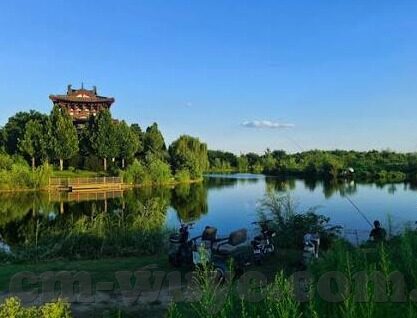 麻豆传媒是什么-麻豆传媒探析，内容本质与社会影响