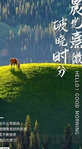 麻豆文化影视传媒网站入口-探索麻豆文化影视传媒，互联网影视新风尚的门户