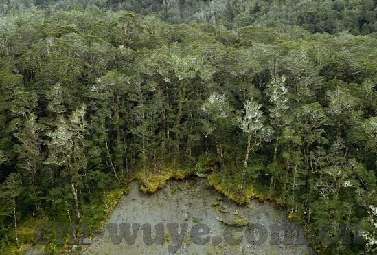 苹果testflight麻豆91-了解苹果TestFlight，应用的测试与麻豆91实例
