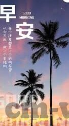 糖心直播app最新版下载-探索糖心直播APP，解锁最新版下载的精彩世界
