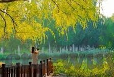 vlog糖心官网地址查询-探索Vlog糖心，精彩瞬间，甜蜜解码
