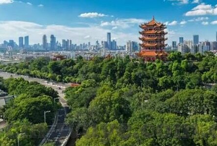 亚洲中文字幕在线播放-探索亚洲影视文化的独特魅力，中文字幕在线播放的多元视角