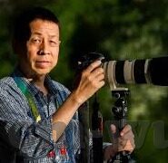 曰本av中文字幕一区二区-探索曰本AV文化中的中文字幕分区